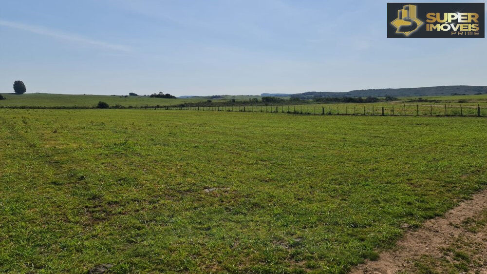 Fazenda à venda com 2 quartos, 8750000m² - Foto 10