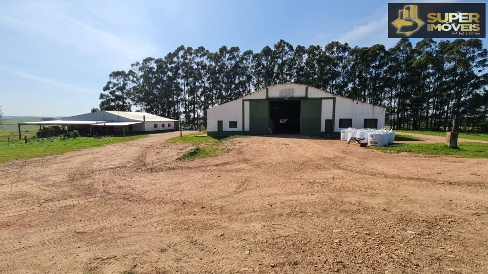 Fazenda à venda com 2 quartos, 8750000m² - Foto 2
