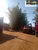 Terreno, 4 hectares - Foto 5