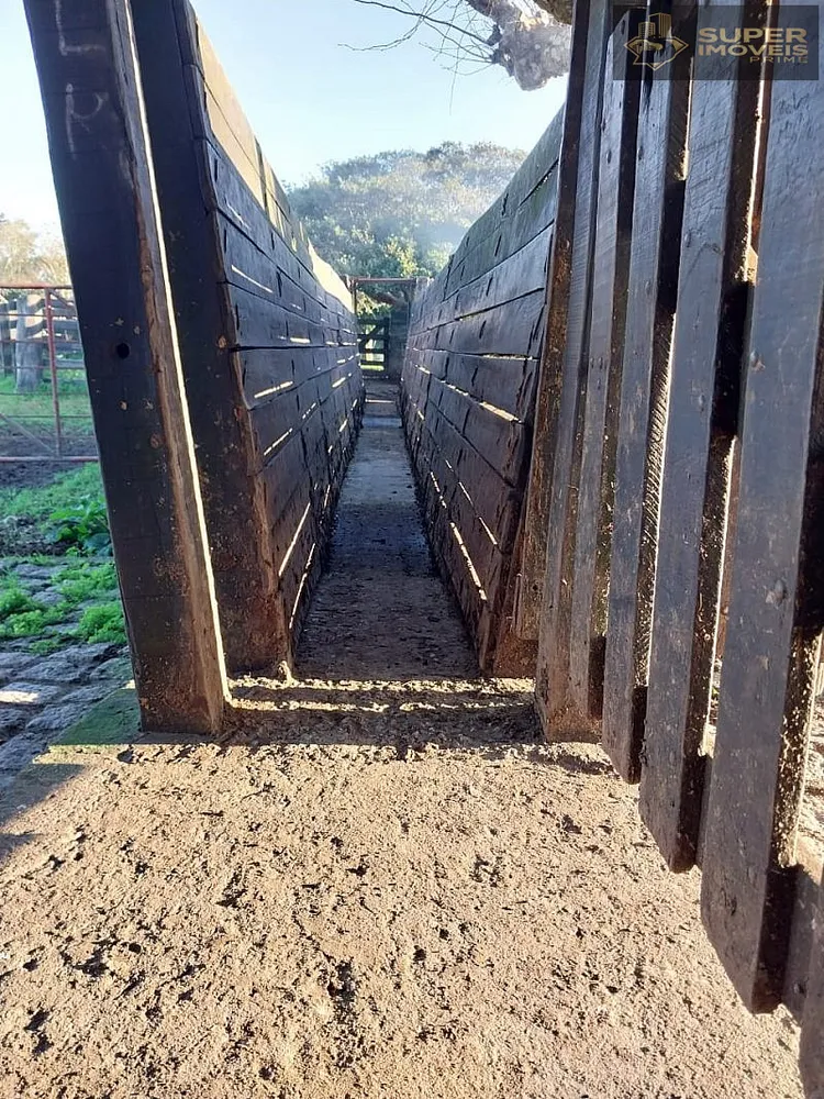 Fazenda, 1460 hectares - Foto 19