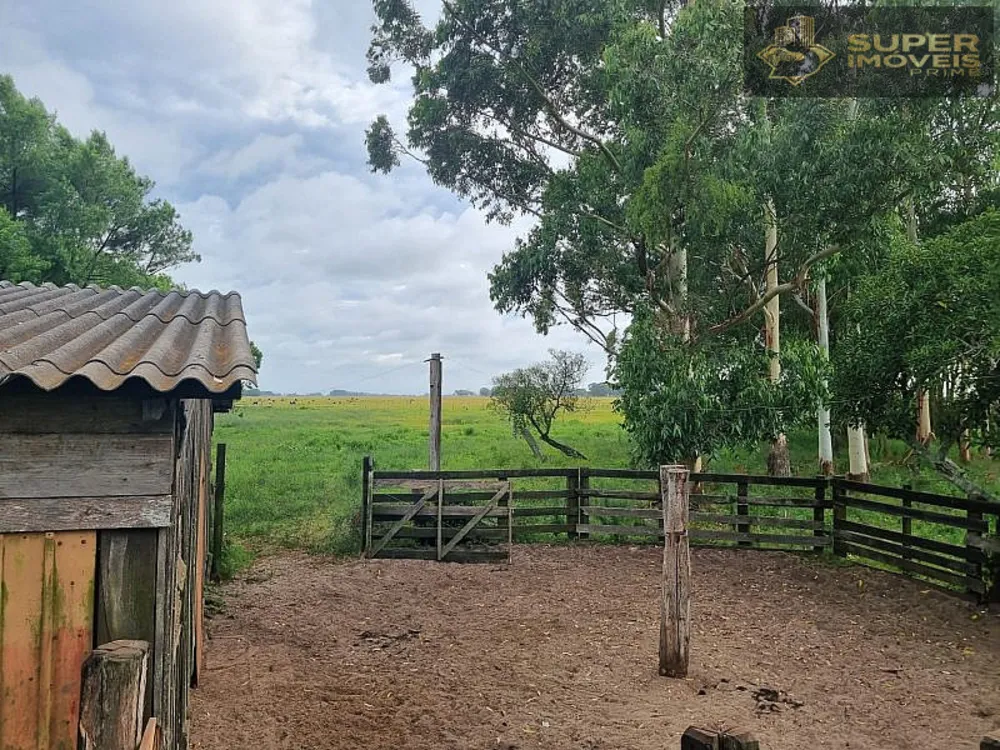 Fazenda, 1460 hectares - Foto 12