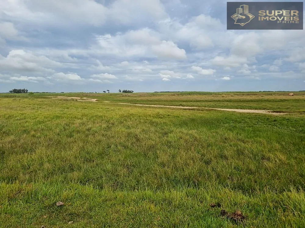Fazenda, 1460 hectares - Foto 1