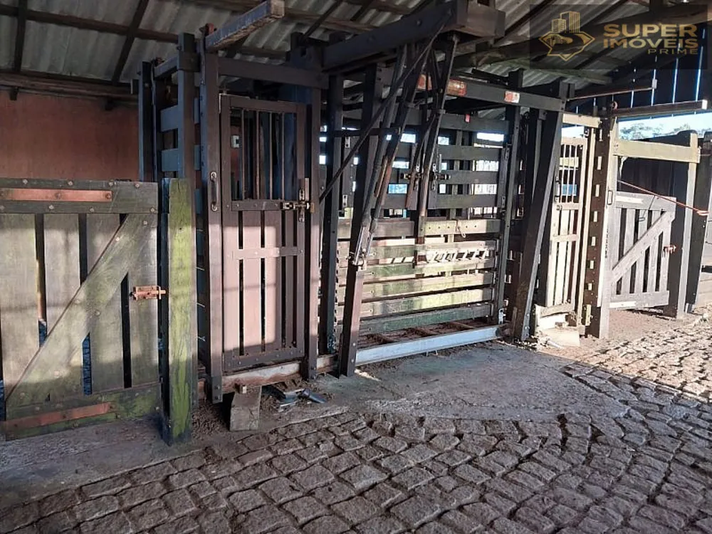 Fazenda, 1460 hectares - Foto 15