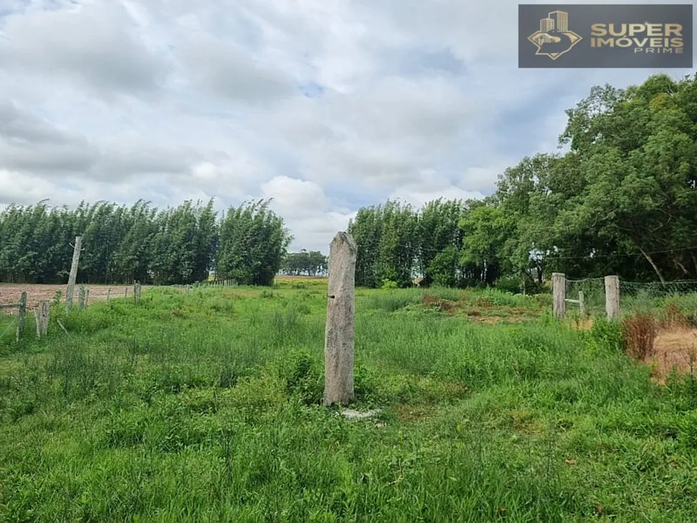 Fazenda, 1460 hectares - Foto 7