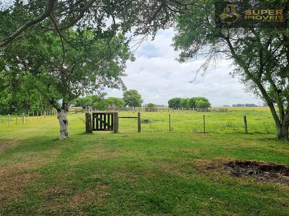 Fazenda, 1460 hectares - Foto 10