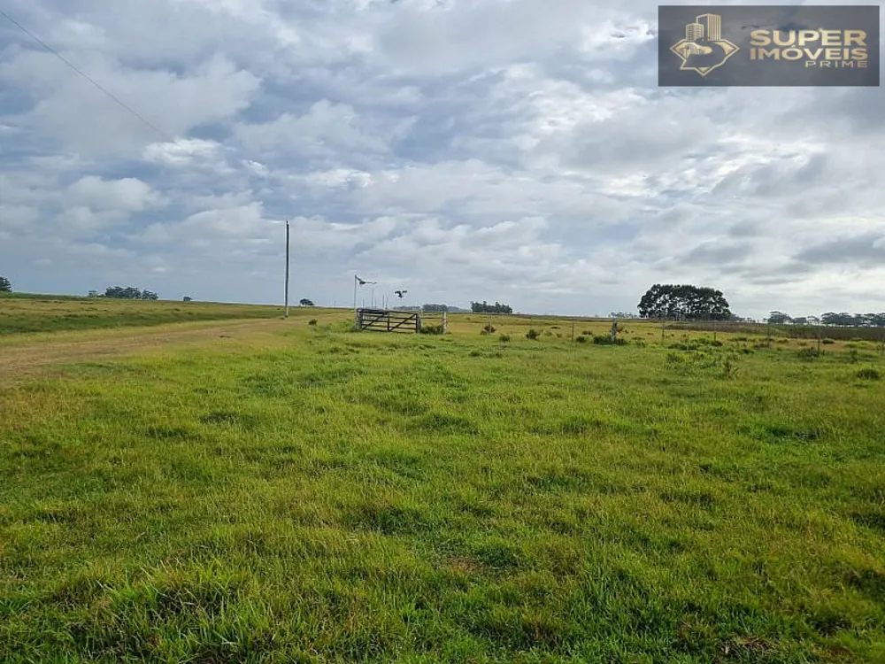 Fazenda, 1460 hectares - Foto 2