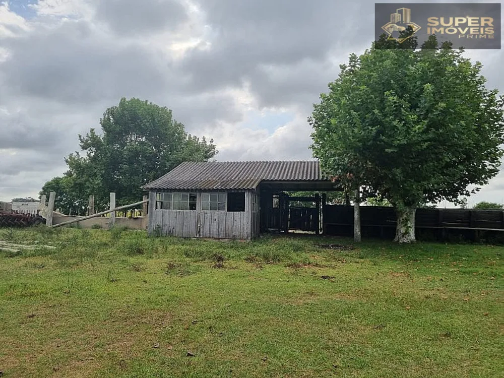 Fazenda, 1460 hectares - Foto 11