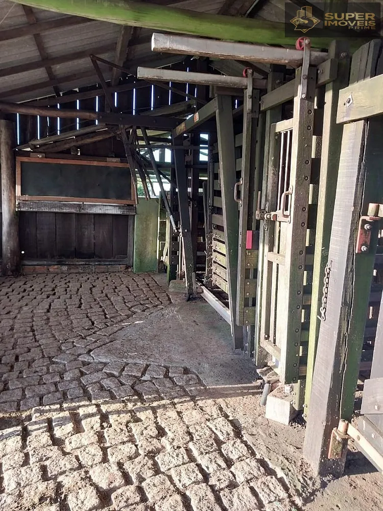 Fazenda, 1460 hectares - Foto 16