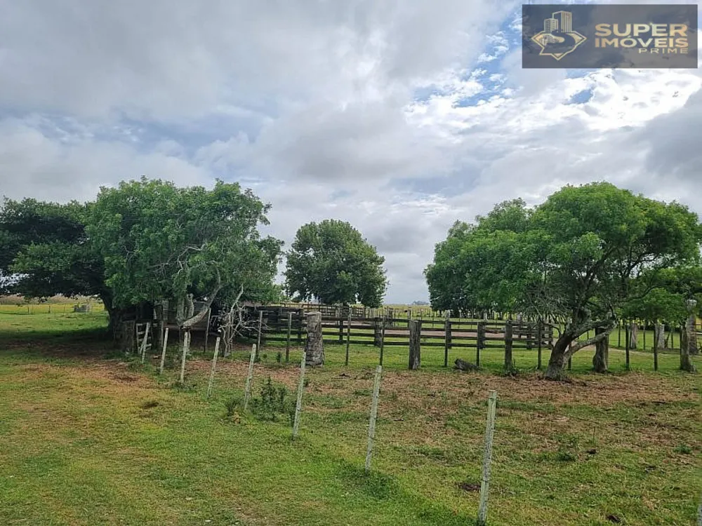 Fazenda, 1460 hectares - Foto 8
