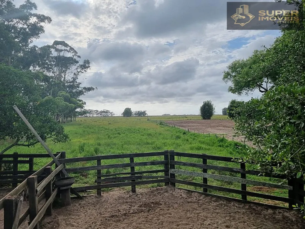 Fazenda, 1460 hectares - Foto 13