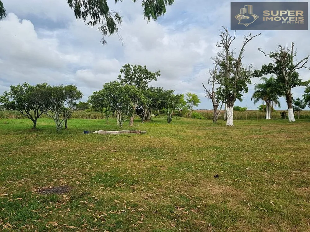 Fazenda, 1460 hectares - Foto 6
