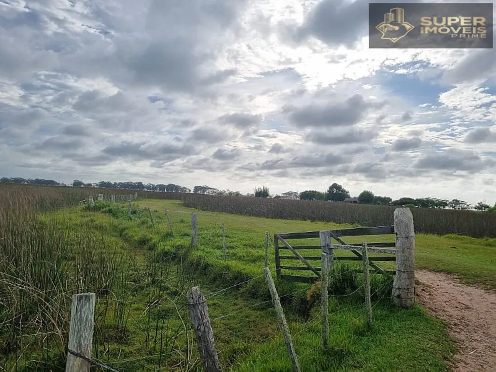 Fazenda, 1460 hectares - Foto 9