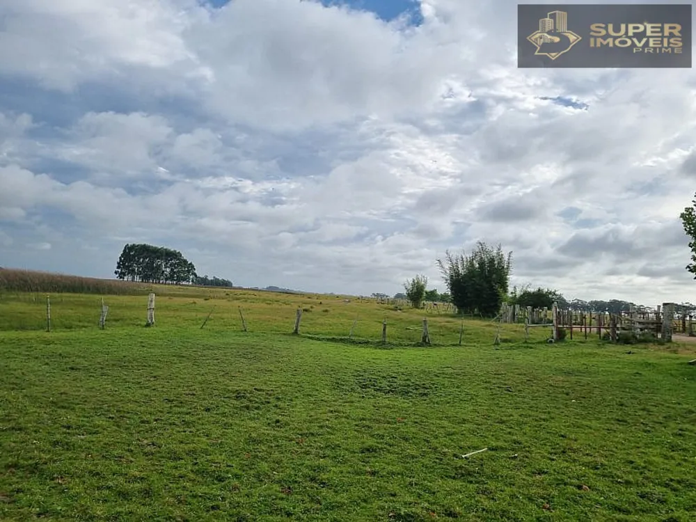 Fazenda, 1460 hectares - Foto 3