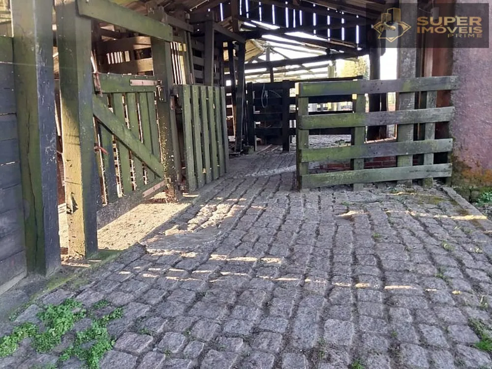 Fazenda, 1460 hectares - Foto 14