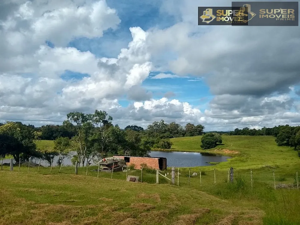 Imóvel Comercial, 60000 m² - Foto 5