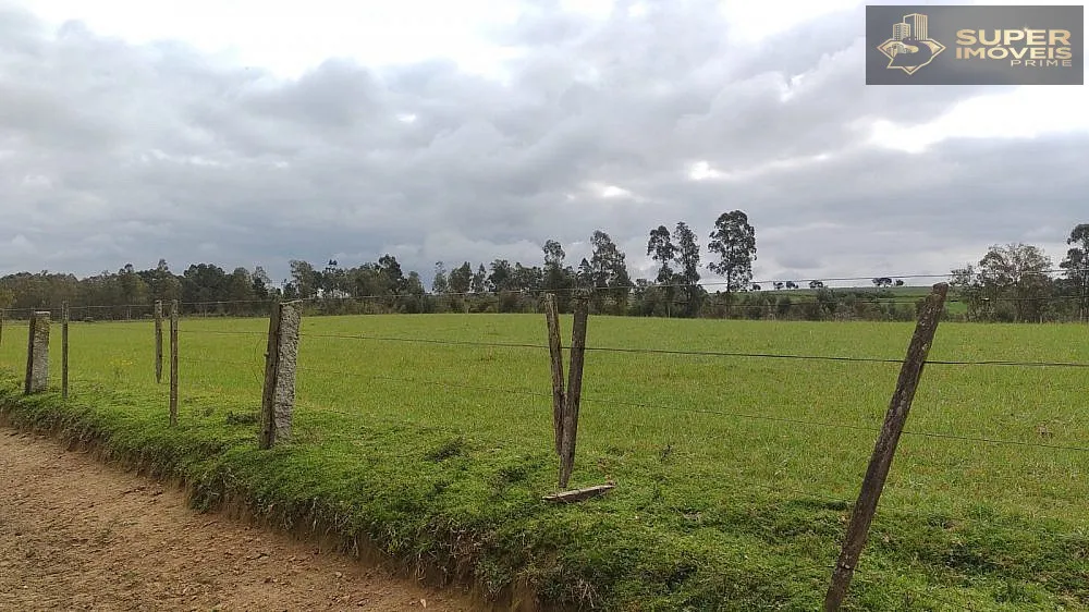 Fazenda, 66 hectares - Foto 6