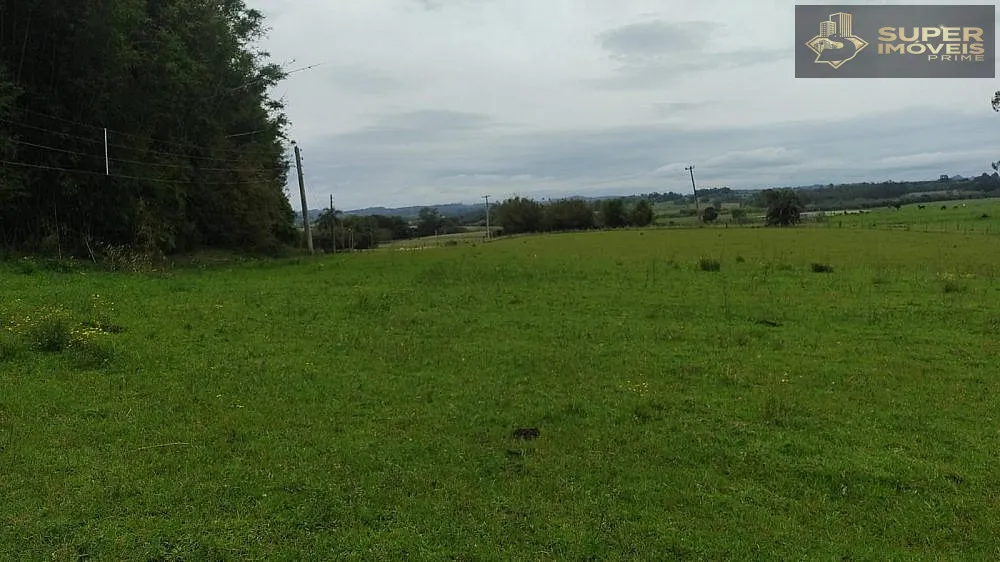 Fazenda, 66 hectares - Foto 4