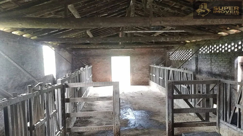 Fazenda, 66 hectares - Foto 11