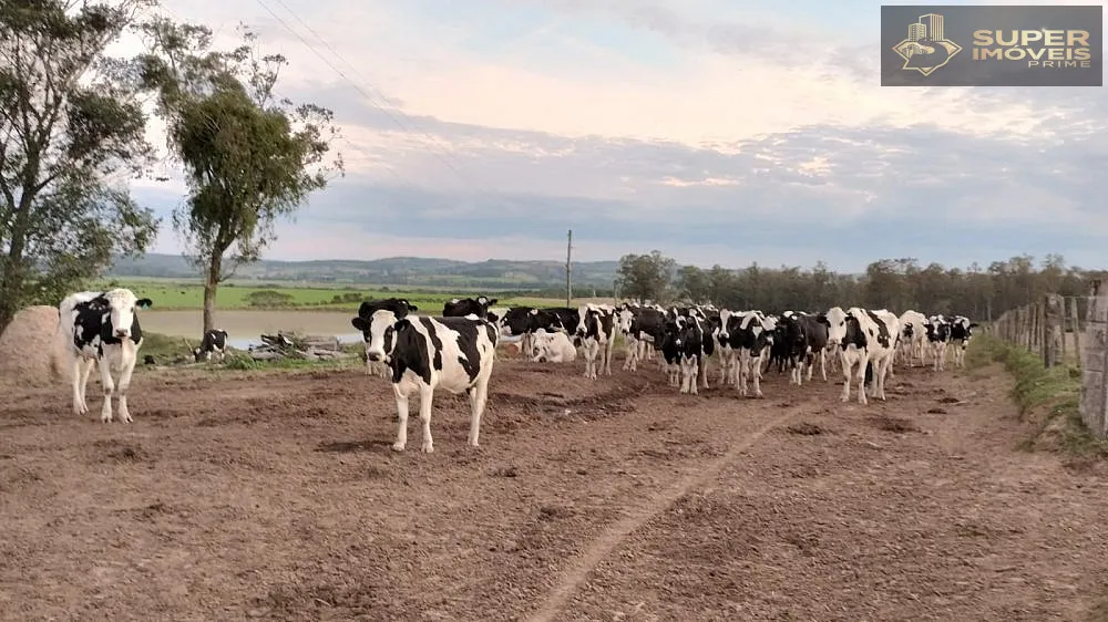 Fazenda, 66 hectares - Foto 1