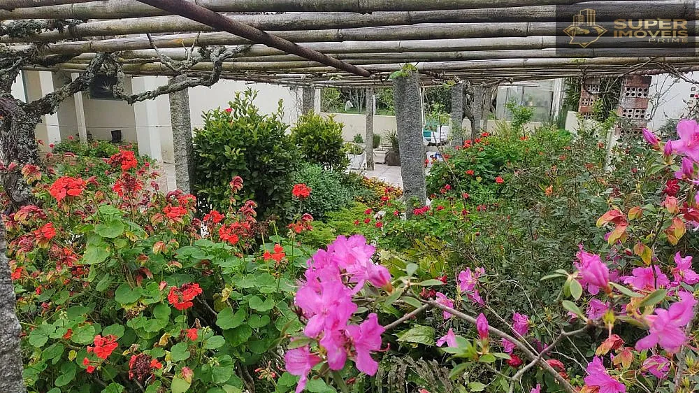 Fazenda, 66 hectares - Foto 20