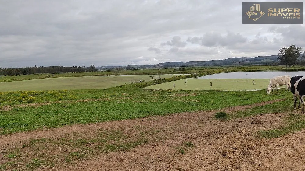 Fazenda, 66 hectares - Foto 7