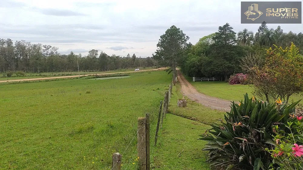 Fazenda, 66 hectares - Foto 8