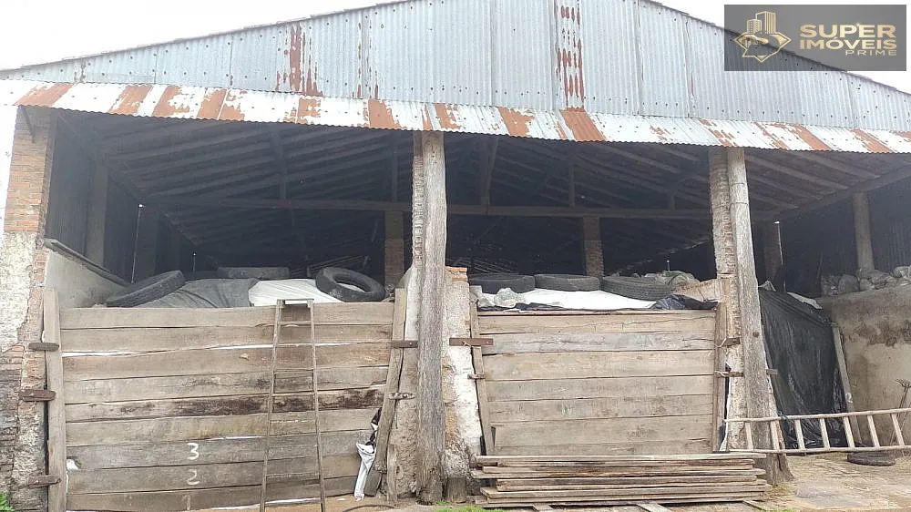 Fazenda, 66 hectares - Foto 9