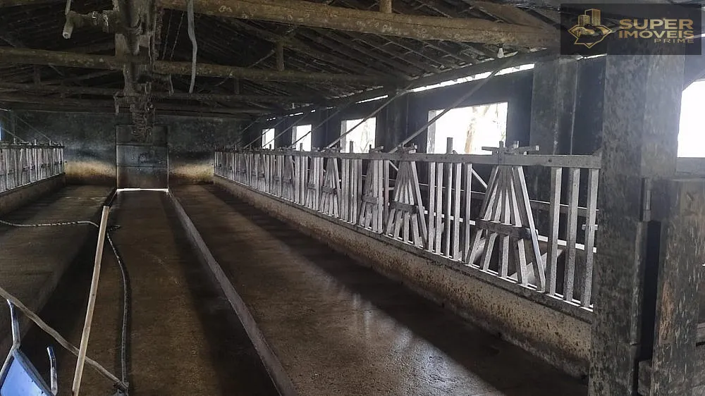 Fazenda, 66 hectares - Foto 12