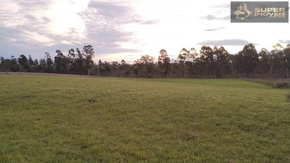 Fazenda, 66 hectares - Foto 2