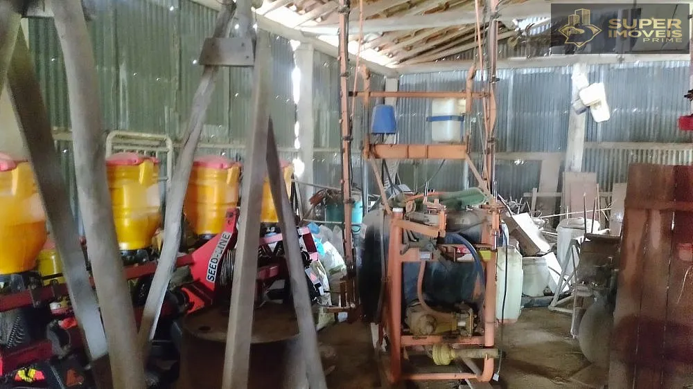 Fazenda, 66 hectares - Foto 14