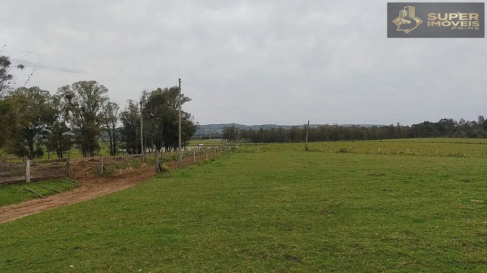 Fazenda, 66 hectares - Foto 5