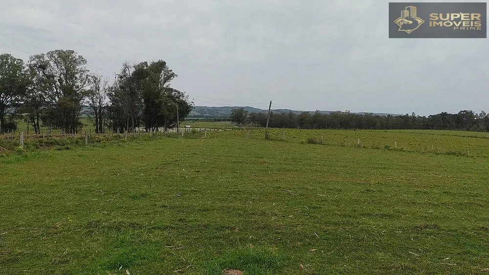 Fazenda, 66 hectares - Foto 3