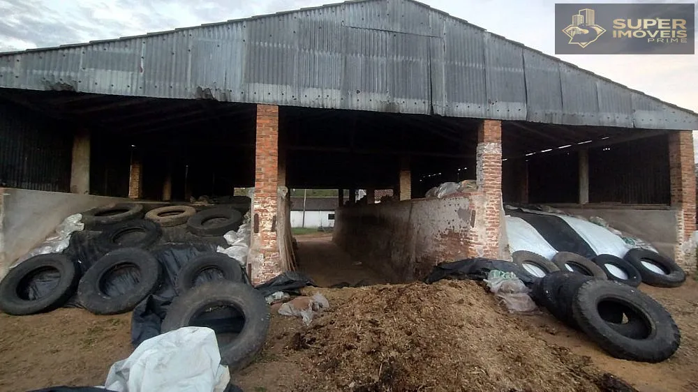 Fazenda, 66 hectares - Foto 10