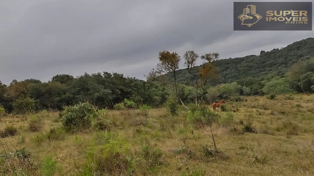 Fazenda, 260 hectares - Foto 12