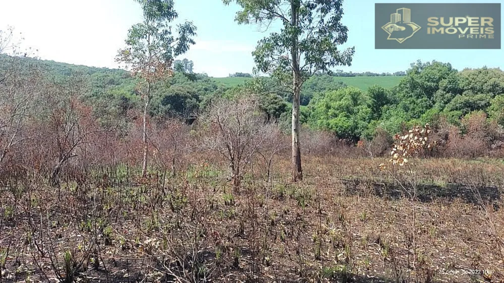 Fazenda, 260 hectares - Foto 18