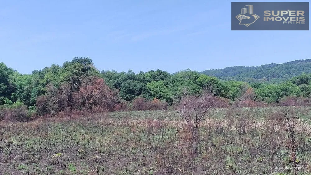 Fazenda, 260 hectares - Foto 15