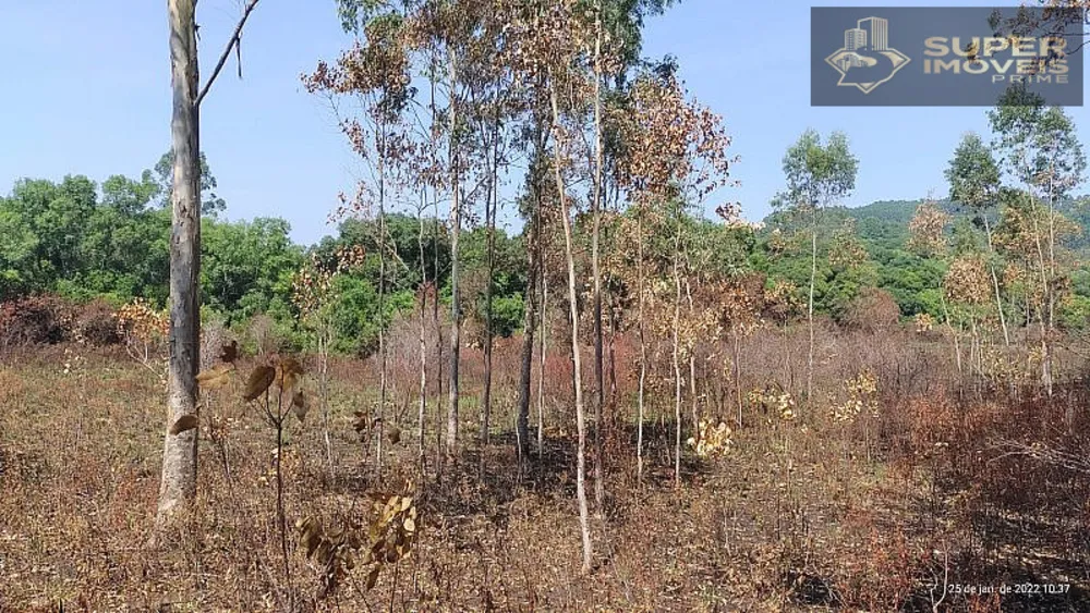 Fazenda, 260 hectares - Foto 20