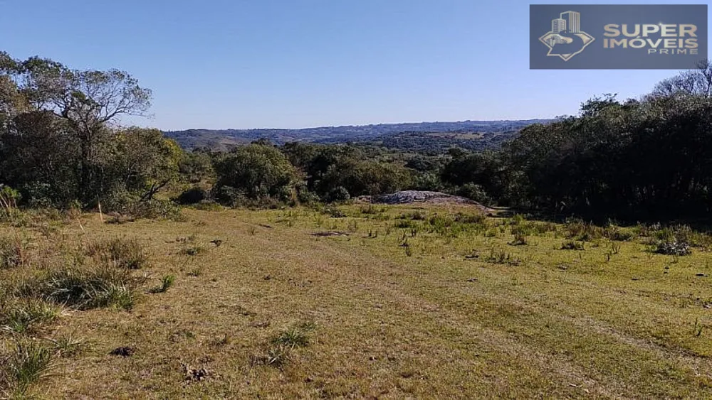 Fazenda, 260 hectares - Foto 8