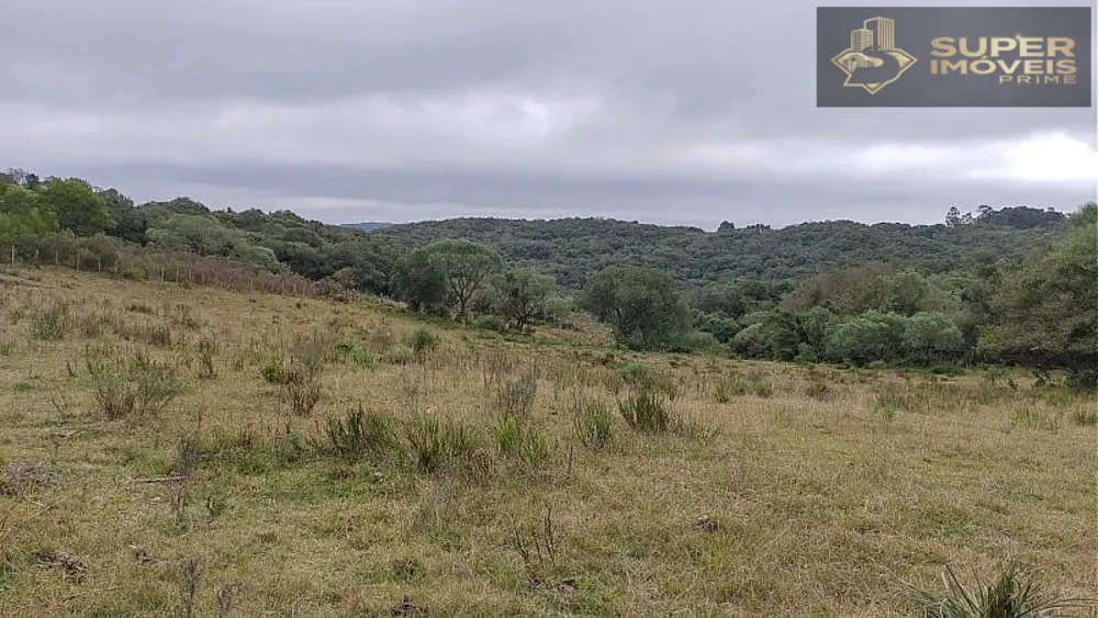 Fazenda, 260 hectares - Foto 19