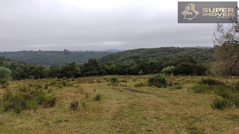 Fazenda, 260 hectares - Foto 1