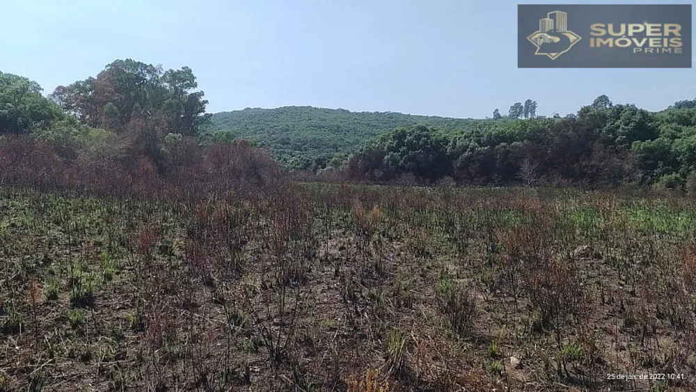 Fazenda, 260 hectares - Foto 16