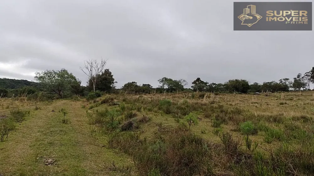 Fazenda, 260 hectares - Foto 2
