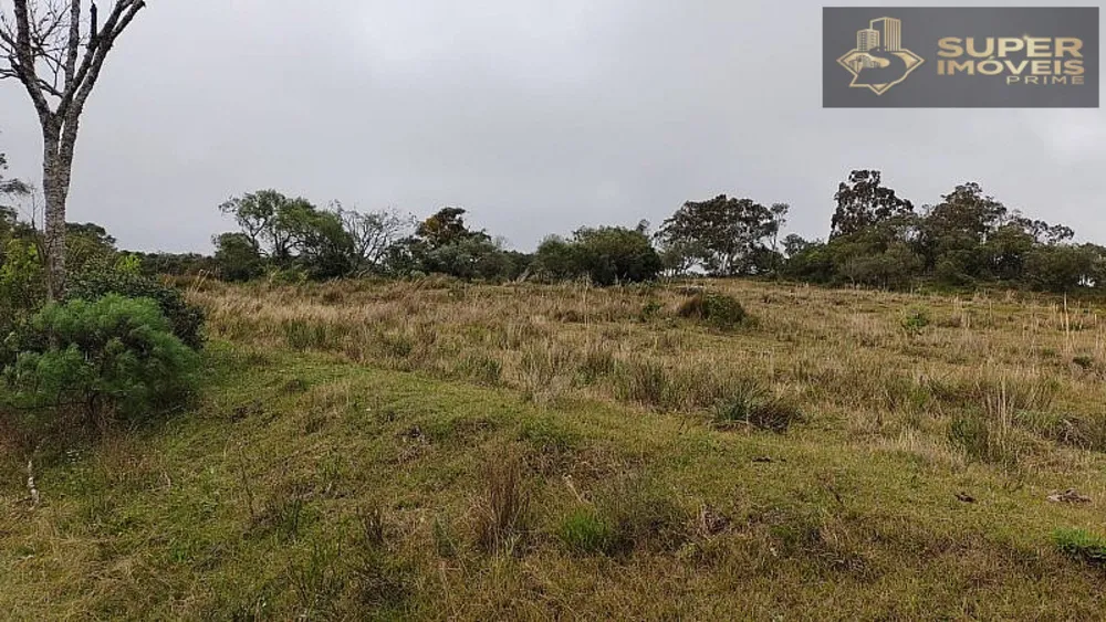 Fazenda, 260 hectares - Foto 13