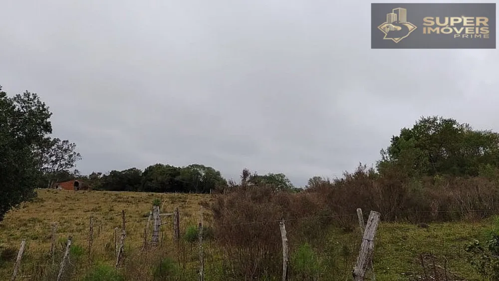 Fazenda, 260 hectares - Foto 11