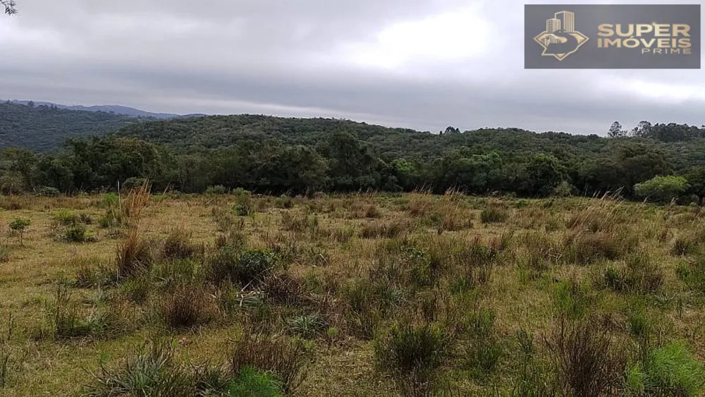 Fazenda, 260 hectares - Foto 6