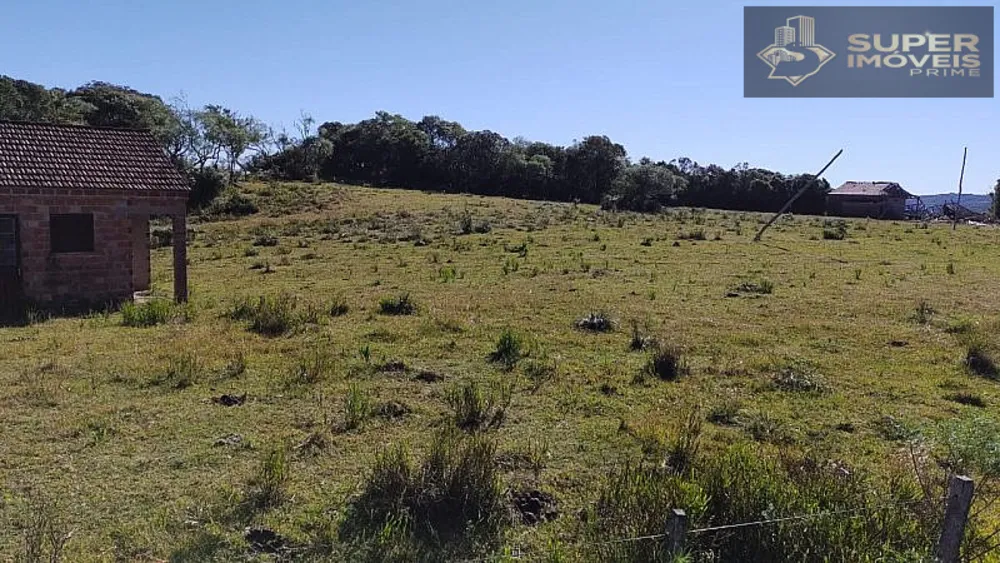 Fazenda, 260 hectares - Foto 9