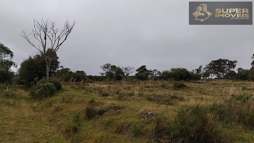 Fazenda, 260 hectares - Foto 7