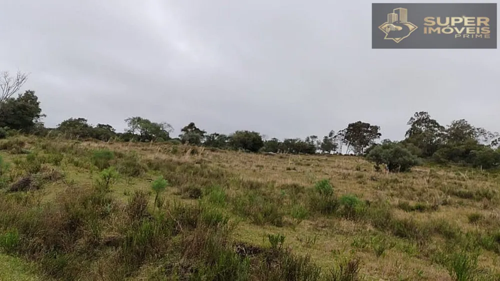 Fazenda, 260 hectares - Foto 4