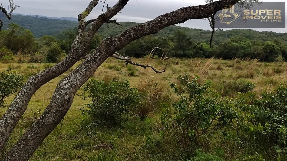 Fazenda, 260 hectares - Foto 14
