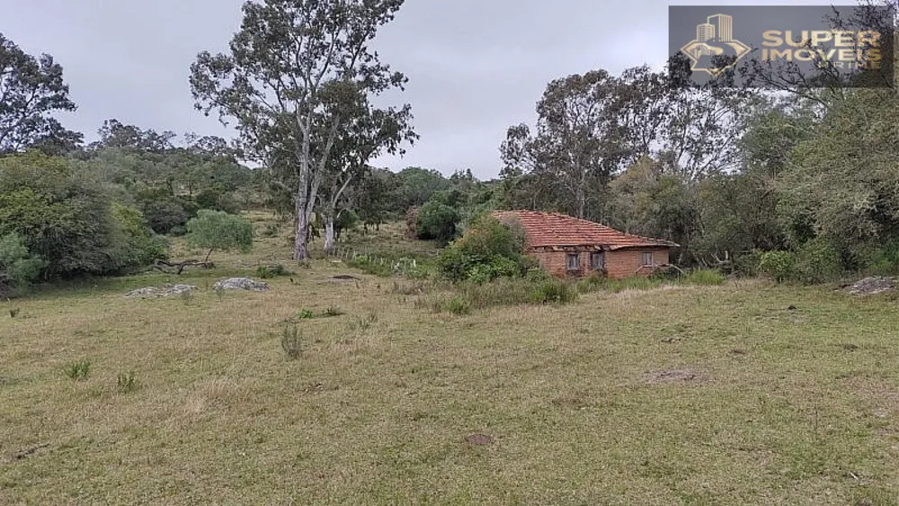 Fazenda, 260 hectares - Foto 10